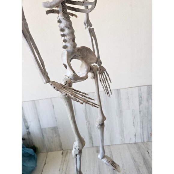 33" jointed hanging skeleton prop - Picture 9 of 9